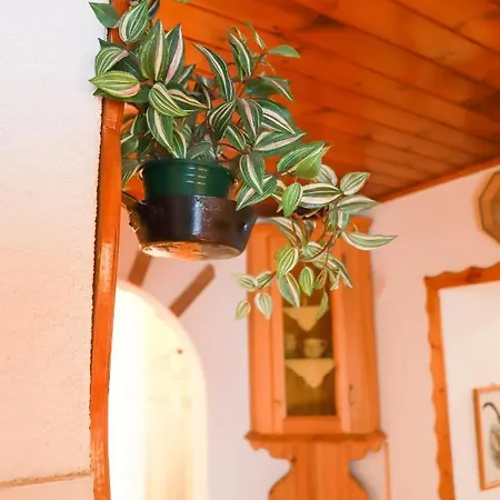 Apartment Tre Cime Focobon - Bellavista Sulle Dolomiti Falcade